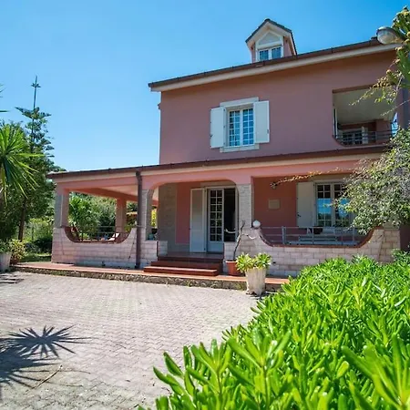 California Case Monterosso